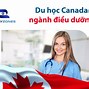 Điều Kiện Du Học Định Cư Tại Canada Đại Học