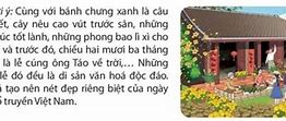 Giới Thiệu Về Tết Việt Nam